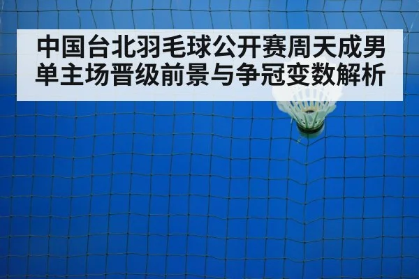 badminton shuttlecock on court