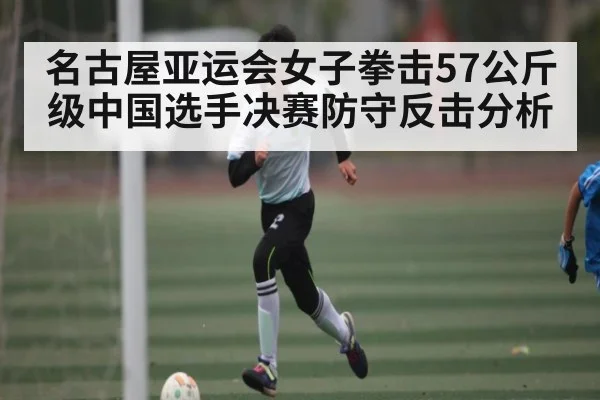 名古屋亚运会女子拳击57公斤级中国选手决赛防守反击分析